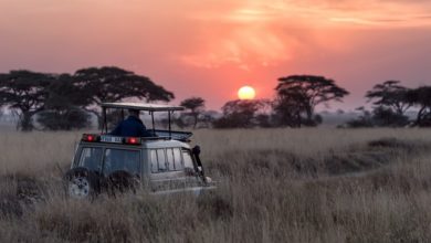 Photo of 12 best place to visit in Africa