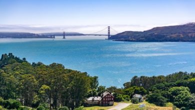 Photo of Top 5 Places For A Picnic In San Francisco