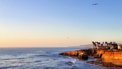 Photo of EXPERIENCE THE ADVENTURE OF A SHARK FISHING CHARTER IN SAN DIEGO